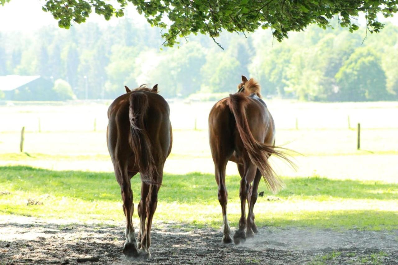 Boerderij De Enkhoeve Laag-Soeren Eksteriør bilde